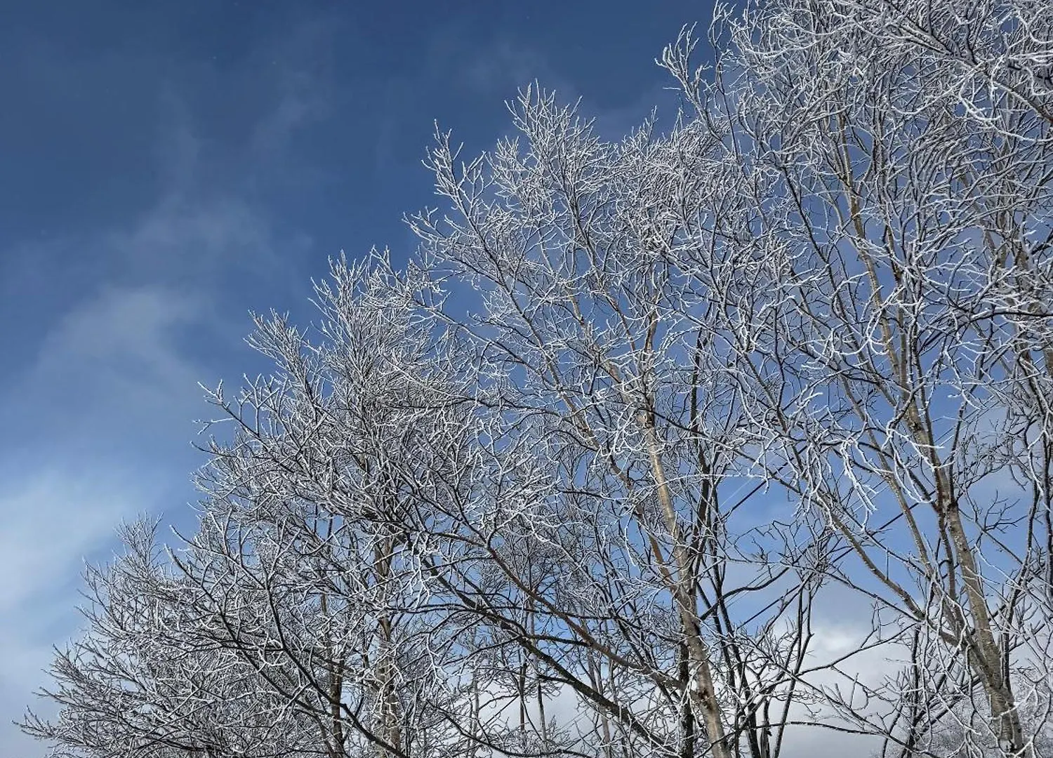 Вилла Niseko Purr 102 Hirafu 0*,  Япония